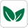indusvallayusa