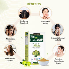 Bio Organic 100% Natural Amla Powder - 100gm