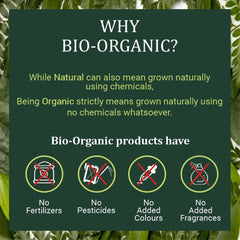 Bio Organic Brahmi Powder - 100gm.