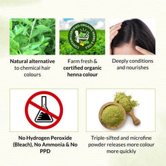 Bio Organic Chestnut Brown Henna Hair Color