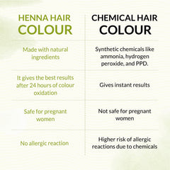 Bio Organic Chestnut Brown Henna Hair Color
