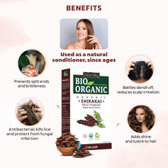 Bio Organic Shikakai Powder 100gm